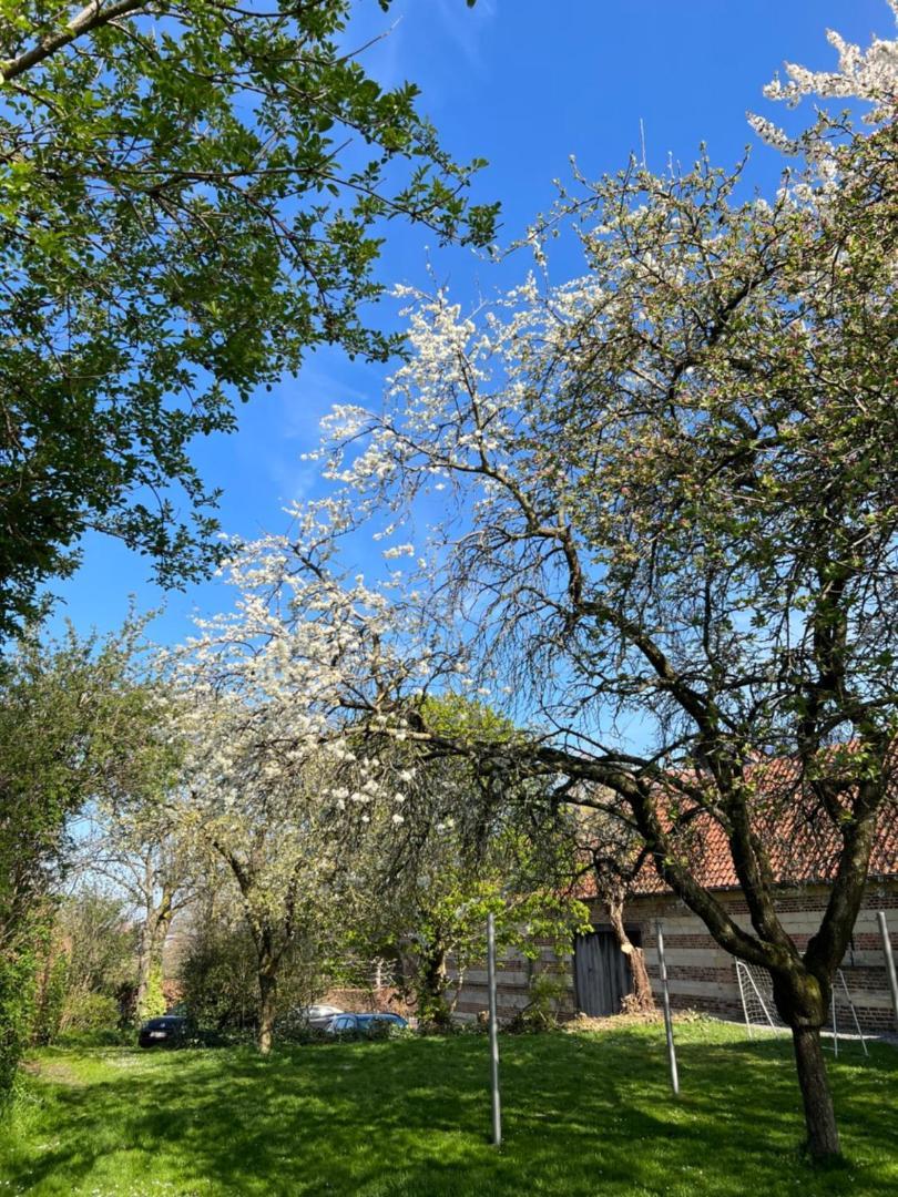 De Zwarte Stok Villa Riemst Luaran gambar